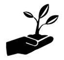 Hand holding tree