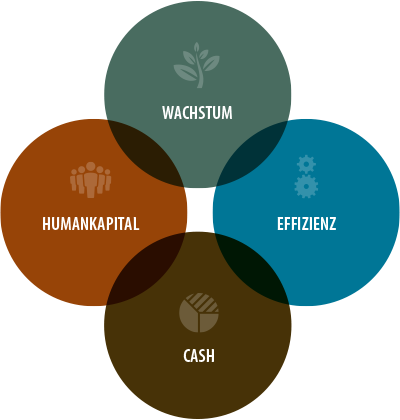 Baird Capital Value Added Diagram